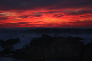 images/album/landscapes and nature/9.jpg